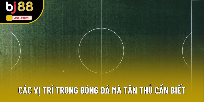 Các vị trí trong bóng đá mà tân thủ cần biết Các vị trí trong bóng đá mà tân thủ cần biết