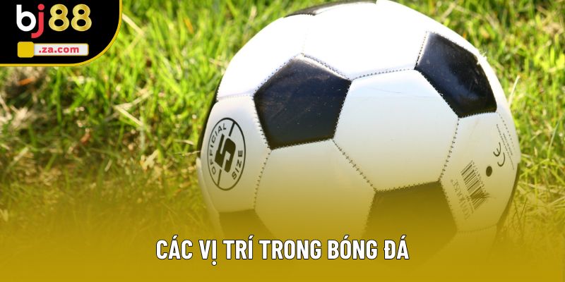 Các Vị Trí Trong Bóng Đá: Bí Quyết Nắm Vững Vai Trò Từng Cầu Thủ 1 Các Vị Trí Trong Bóng Đá: Giải Thích Chi Tiết Cho Tân Binh