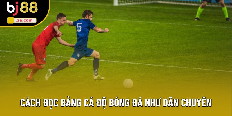 Cách đọc bảng cá độ bóng đá như dân chuyên Cách đọc bảng cá độ bóng đá như dân chuyên