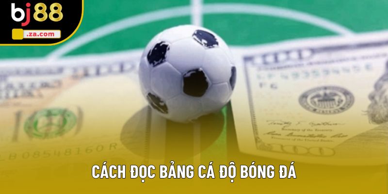 Cách Đọc Bảng Cá Độ Bóng Đá Chi Tiết, Dễ Hiểu Cho Người Mới Bắt Đầu 1 Cách Đọc Bảng Cá Độ Bóng Đá: Bí Kíp Thắng Cược Dễ Hiểu