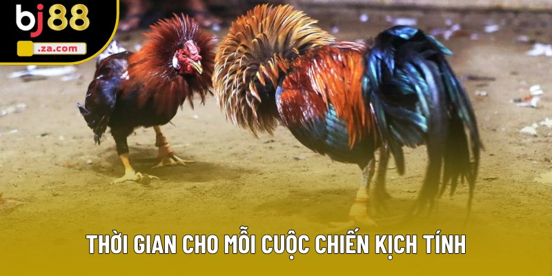 Thời gian cho mỗi cuộc chiến kịch tính Thời gian cho mỗi cuộc chiến kịch tính