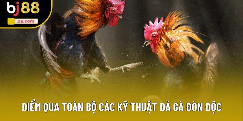 Điểm qua toàn bộ các kỹ thuật gà đá đòn độc Điểm qua toàn bộ các kỹ thuật gà đá đòn độc